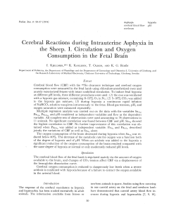 Cerebral Reactions during Intrauterine Asphyxia in the Sheep. I
