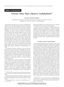 Fructan: More Than a Reserve Carbohydrate?
