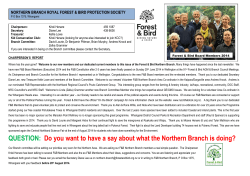 northern branch - Forest and Bird