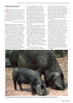 The few gilts and sows that I keep have a very thin cover of hair. This