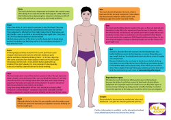 How too much alcohol effects the body worksheet