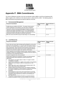 Appendix P - BHP Billiton