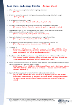 Food chains and energy transfer &ndash; Answer sheet