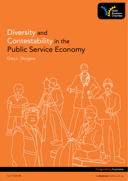 Diversity and Contestability in the Public Service Economy