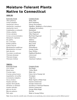 Moisture-Tolerant Plants