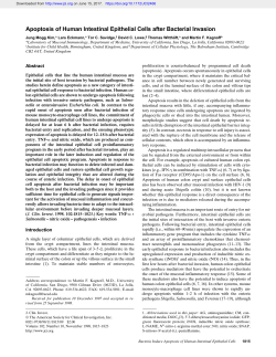 Apoptosis of Human Intestinal Epithelial Cells after Bacterial Invasion