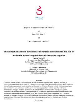 Diversification and firm performance in dynamic environments