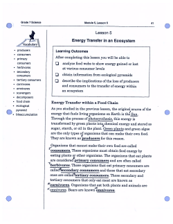 Lesson 5 Energy Transfer in an Ecosystem