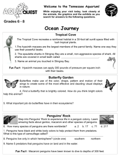 Ocean Journey - Tennessee Aquarium