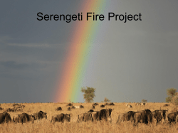 Serengeti Fire Project