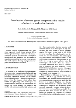 Distribution of reverse gyrase in representative species of