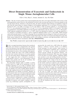Direct Demonstration of Exocytosis and Endocytosis in Single