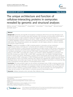 The unique architecture and function of cellulose