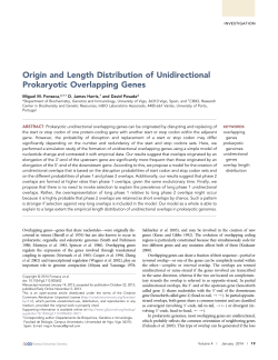Origin and Length Distribution of Unidirectional Prokaryotic