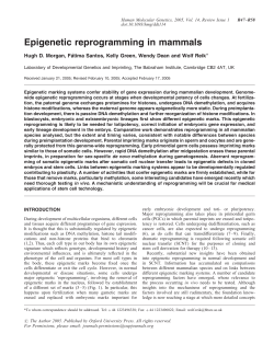 Epigenetic reprogramming in mammals