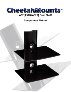 Cheetah Mounts &reg;