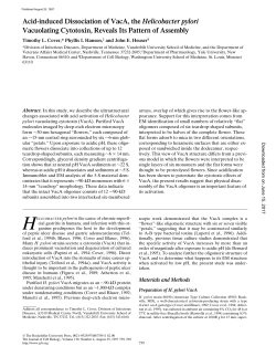 Acid-induced Dissociation of VacA, the Helicobacter pylori