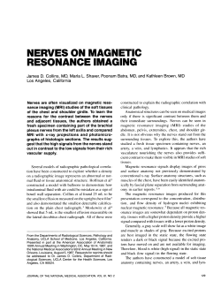 NERVES ON MAGNETIC RESONANCE IMAGING