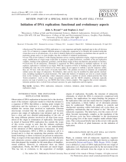 Initiation of DNA replication: functional and