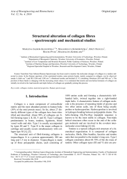 Structural alteration of collagen fibres &ndash; spectroscopic and