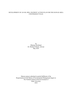 DEVELOPMENT OF AN OIL SPILL INCIDENT ACTION