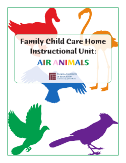 air animals - University of North Florida
