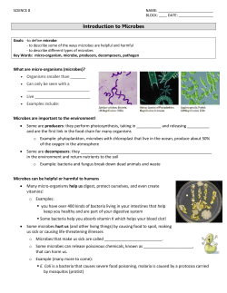 Introduction to Microbes