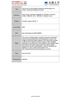Title Tug-of-war of microtubule filaments at the boundary of a kinesin