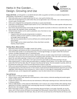 Herbs in the Garden&hellip; Design, Growing and Use
