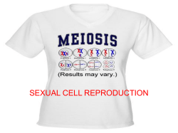SEXUAL CELL REPRODUCTION