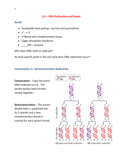 DNA Replication and Repair