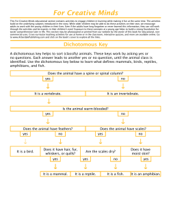 For Creative Minds - Arbordale Publishing