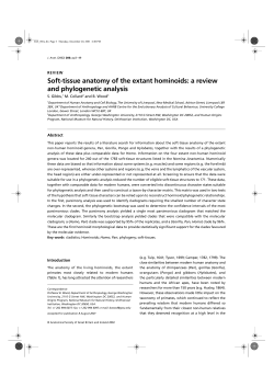 Soft-tissue anatomy of the extant hominoids: a review and
