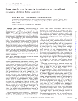 Stance-phase force on the opposite limb dictates swing