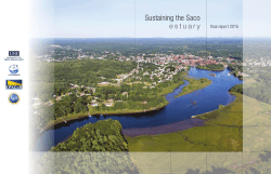 Chapter 3 - University of New England