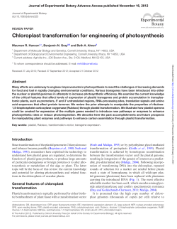Chloroplast transformation for engineering of photosynthesis