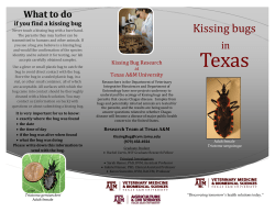 Kissing Bug Brochure - Kissing Bugs and Chagas Disease in the US