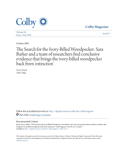 The Search for the Ivory-Billed Woodpecker: Sara Barker