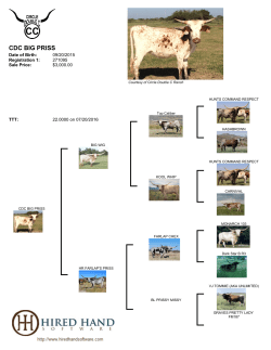 Print - Circle Double C Ranch
