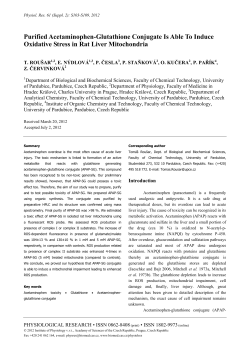 Purified Acetaminophen-Glutathione Conjugate Is Able To Induce