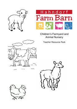 Childrenʼs Farmyard and Animal Nursery
