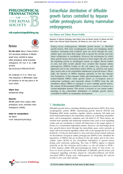 Extracellular distribution of diffusible growth factors controlled by