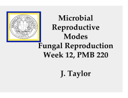 Microbial Reproductive Modes Fungal Reproduction Week 12, PMB