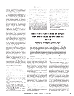Reversible Unfolding of Single RNA Molecules by Mechanical Force