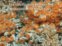 The calcification process and measurement techniques