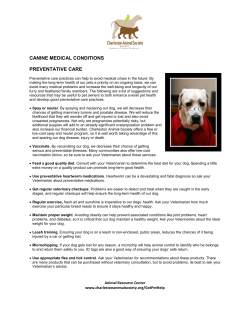 canine medical conditions preventative care