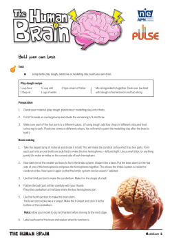 Build your own brain