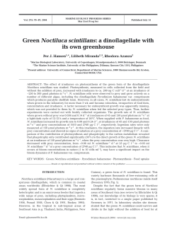 Green Noctiluca scintillans: a dinoflagellate with its own greenhouse