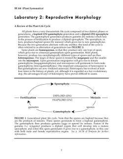 Laboratory 2: Reproductive Morphology