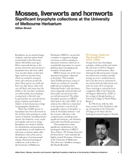 Mosses, liverworts and hornworts